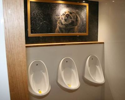 Luxury urinals to hire