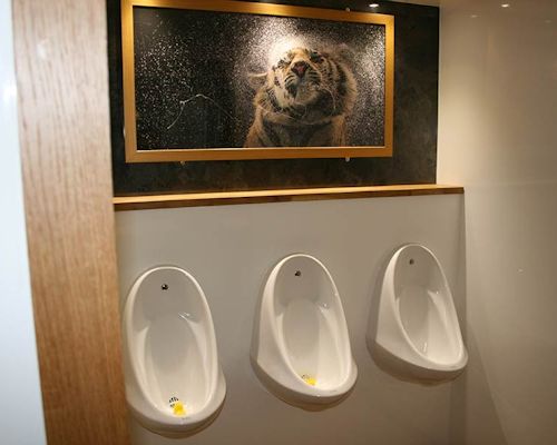 Luxury hire urinals
